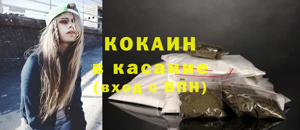 прущие грибы Богородицк