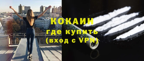 прущие грибы Богородицк