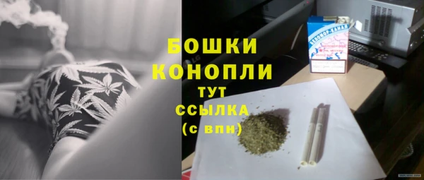 прущие грибы Богородицк