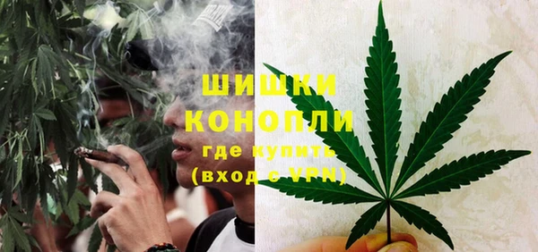 прущие грибы Богородицк