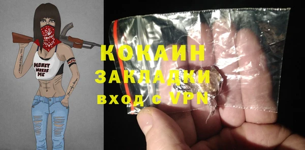 прущие грибы Богородицк