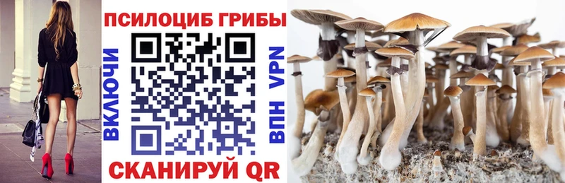 Галлюциногенные грибы мухоморы  Богучар 